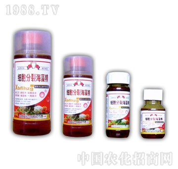 ��ɽ����-��(x��)�����Ѻ��徫