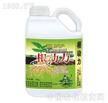 ����-����(d��ng)��