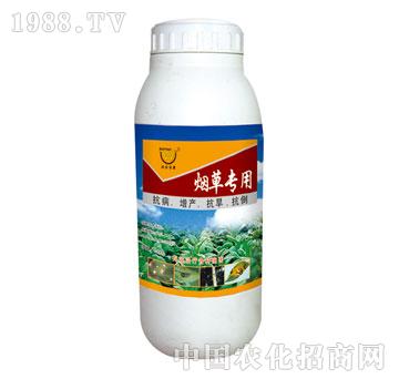 ��(r��n)��-���݌���