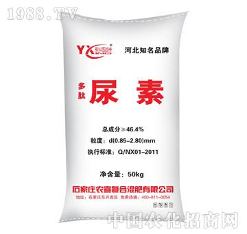 �r(n��ng)ϲ-����