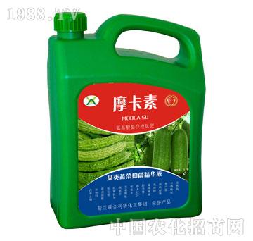 ����߲��־����AҺ-Ħ����-��(qi��ng)о��(gu��)�H