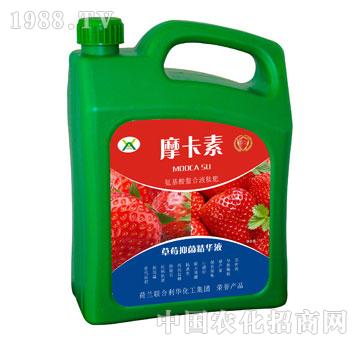 ��ݮ�־����AҺ-Ħ����-��(qi��ng)о��(gu��)�H