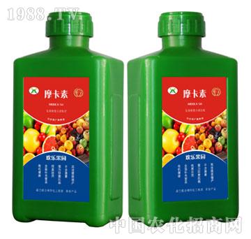 �g�����@����������Һ�ķ�-Ħ����-��(qi��ng)о���H