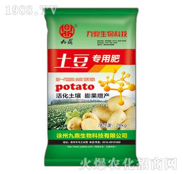 �������÷�-�Ŷ�-�ذ�Ȫ