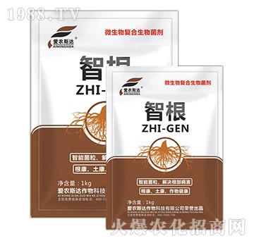 ΢�����(f��)���������-�Ǹ�-���r(n��ng)˹�_(d��)