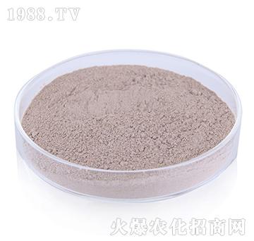 ��(f��)��ѿ�ߗU��-�G�]����