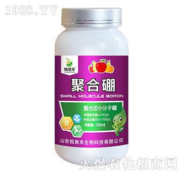 ���ϑB(t��i)С������-�ۺ���-�����S