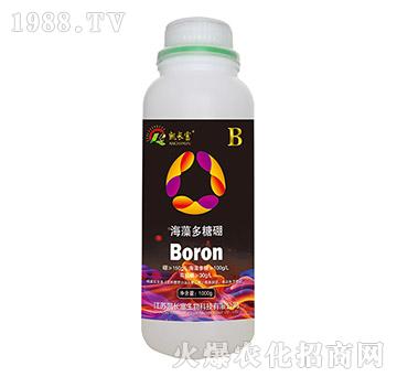 ���������-�P�L(zh��ng)��