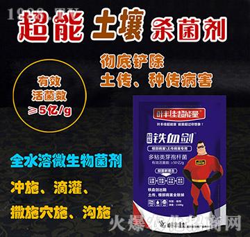 ����������������������-�FѪ��-�~�S�ѳ�����