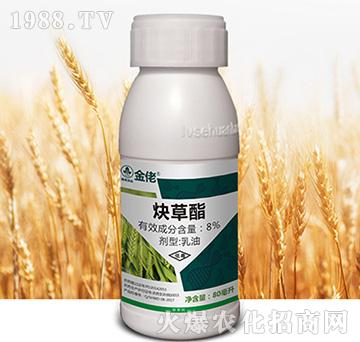 8%Ȳ����-����-�к����_(d��)