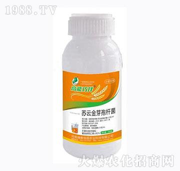 С����(zhu��n)���K�ƽ�ѿ�ߗU��-�����ɰ�-��̩���