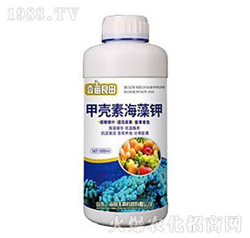 �ך��غ����-Ҽ������