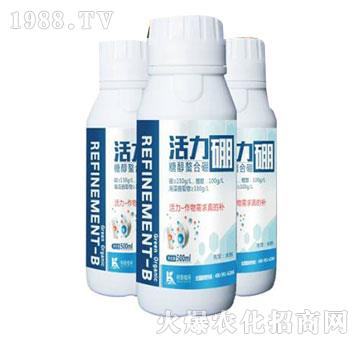 �Ǵ�������-������-����ֲ��