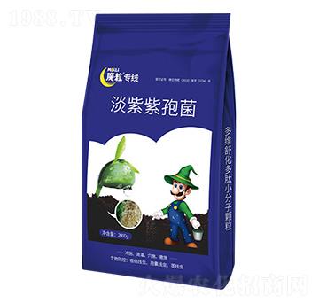 �������߾�-ħ����(zhu��n)��(xi��n)-ħ���ʘI(y��)