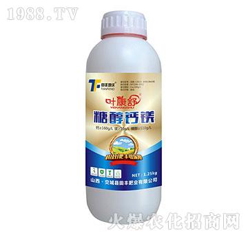 �Ǵ��}�V-�~����-���S����