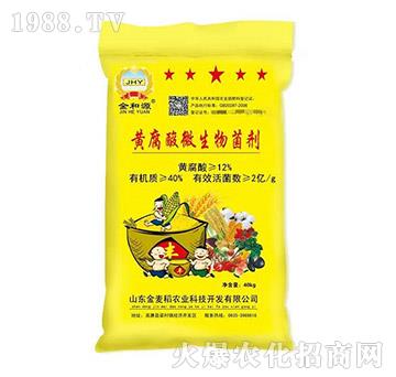 �S����΢�������-������