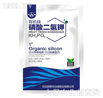 500g�ЙC����������-���