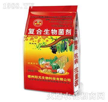 ��M���(f��)������������t��-�(y��ng)������