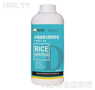 ˮ��������Y��辷�-��ϲ����-��Ѵ