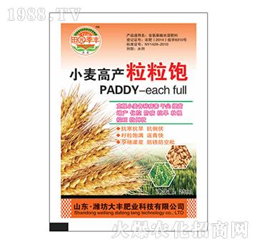 С���߮a�����-��@���S-���S�ʘI(y��)