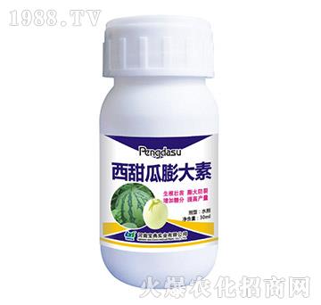 ����������-���䌍�I(y��)