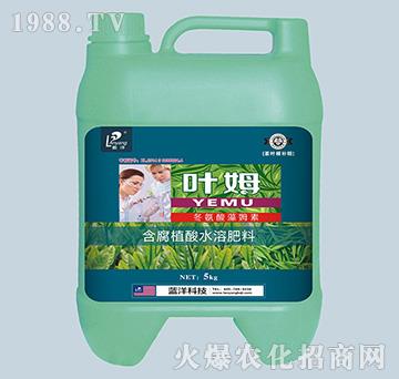 ���~���䶬������ķ����-���~���a��-�~ķ