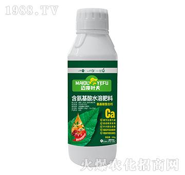 ƿ�b�����������}-�~���~��