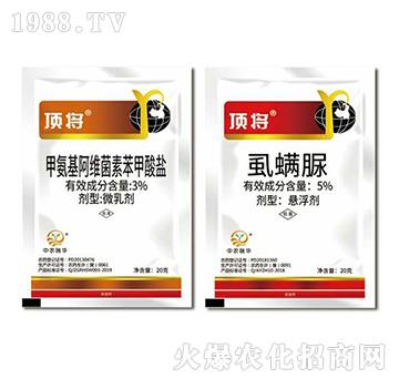 3%�װ������S���ر������}+5%ʭ����-플�-���A����