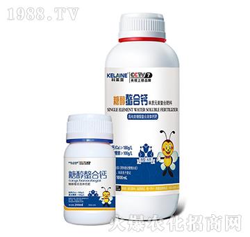 �Ǵ������}-�W���r�I(y��)