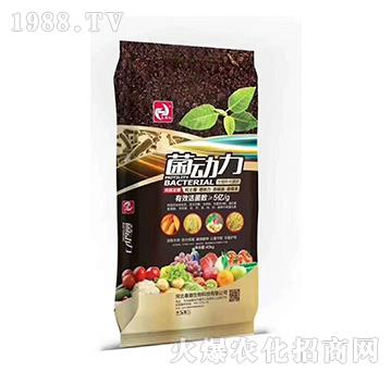 ���Z�l(f��)�������ЙC����-������-�����t