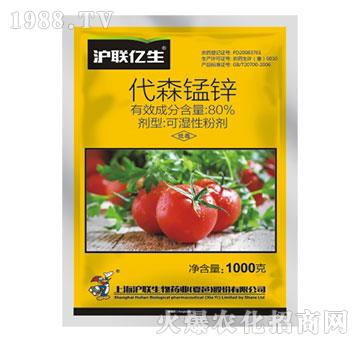 80%��ɭ�i�\-���|��-��