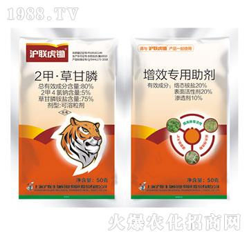 80%���ס��ݸ��+��Ч����-��(li��n)���z-��(li��n)