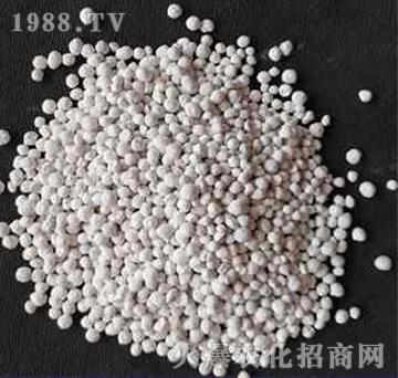 �����w����-����