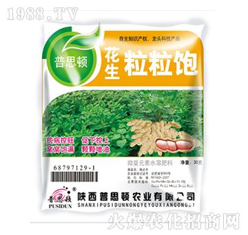 ���������-��˼�D�r(n��ng)�I(y��)