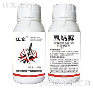 5%ʭ����-��-���A����