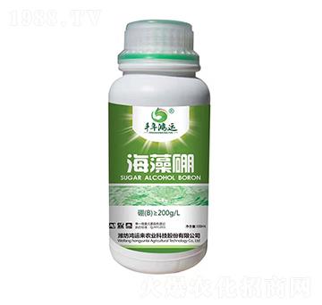 ������-�S�����\(y��n)-���\(y��n)��