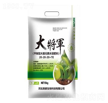 ƽ���ʹ���Ԫ��ˮ�ܷ���20-20-20+TE ��܊ Ӣ������