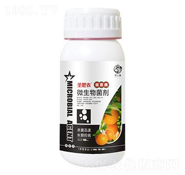 ƿ�b��(x��)������(zhu��n)��΢�������-ʥ���r(n��ng)-��ʥ�r(n��ng)�I(y��)