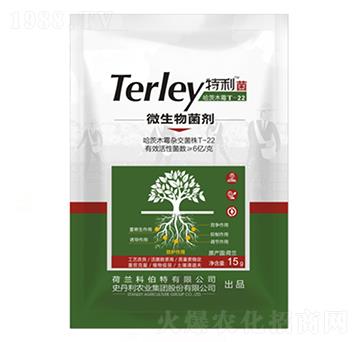 ΢�������-����ʢ-ʷ����