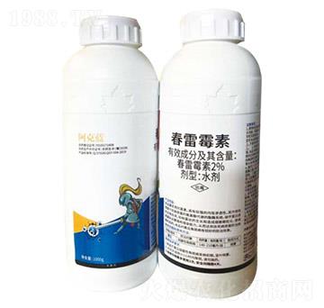 2%����ù��-�����{-��������