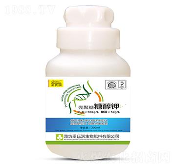 �������Ǵ��-ʥ�ϝ�