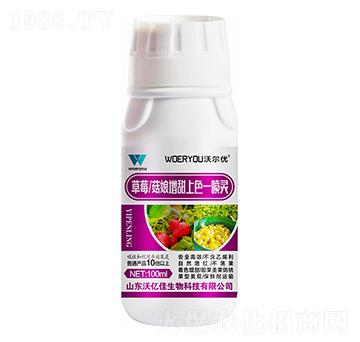 ��ݮ������������ɫһ���`-�֠���(y��u)