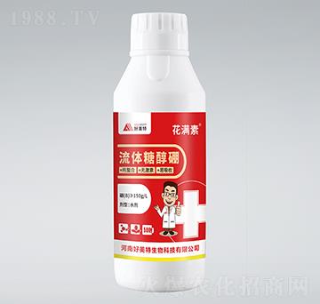 ���w�Ǵ���-���M��-������