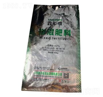 �������19-19-19-�ζ���