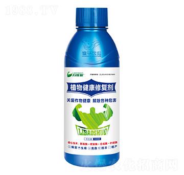 ֲ�｡���ޏ̈́�-�����T-���A�r(n��ng)�I(y��)