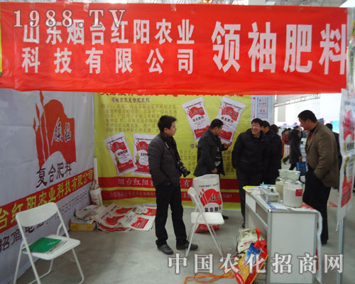 ���_�t��r(n��ng)�I(y��)���Ͻ�