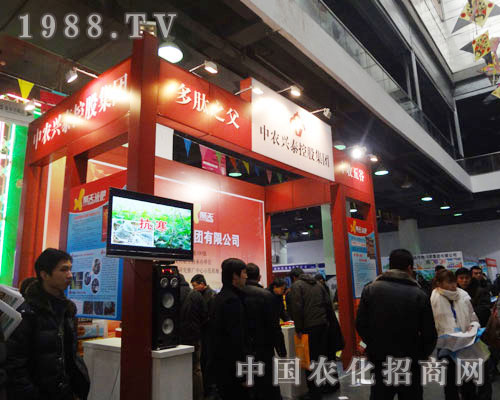 中農(nóng)興泰——多肽之父 豐收五谷