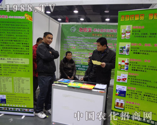 石家莊勁銳公司前來的咨詢經(jīng)銷商絡繹不絕