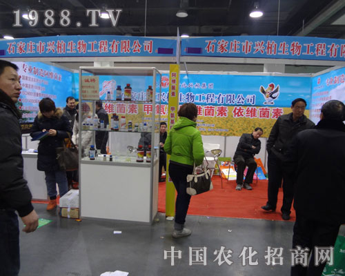 �ӱ��d�ؼ��F��չʯ���f�r(n��ng)ˎ������ϲ��