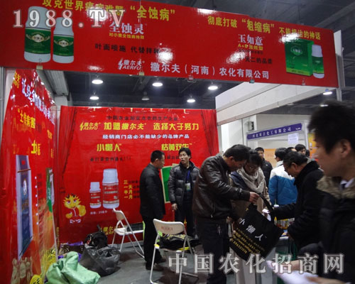 撒爾夫 讓經(jīng)銷商賺足的舉世雙星！